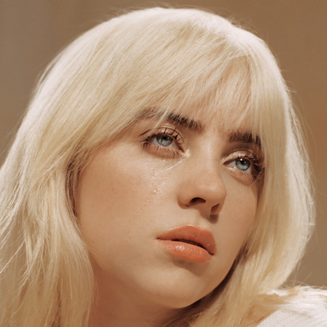 Kumpulan Chord Gitar Billie Eilish